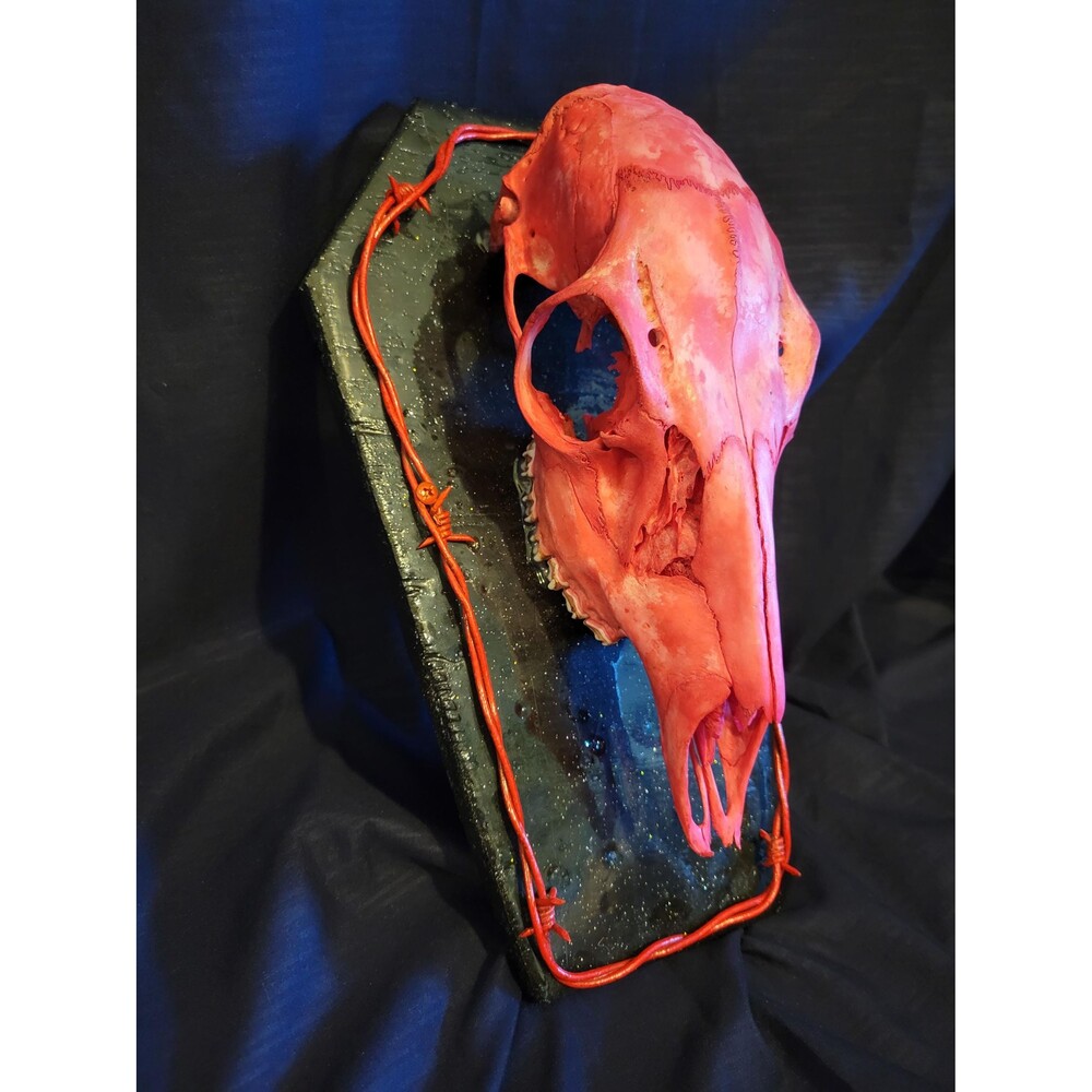 Deer Skull Oddity. Real animal skulls, Painted Animal Skull, Taxidermy, Oddities